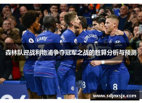 森林队迎战利物浦争夺冠军之战的胜算分析与预测