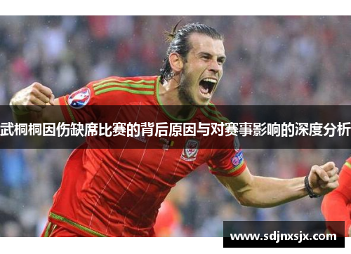 武桐桐因伤缺席比赛的背后原因与对赛事影响的深度分析