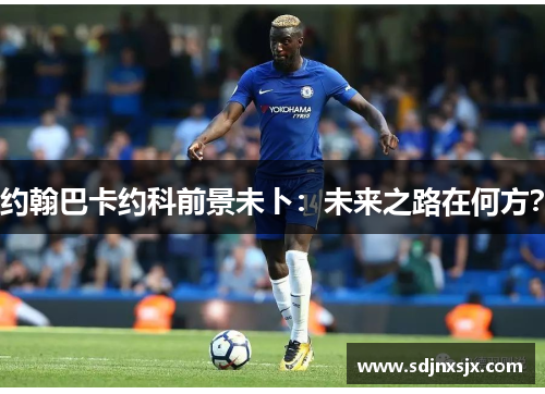 约翰巴卡约科前景未卜：未来之路在何方？