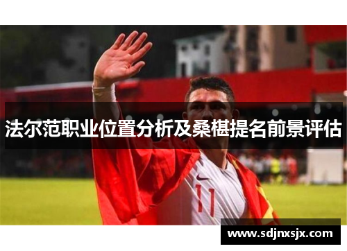 法尔范职业位置分析及桑椹提名前景评估